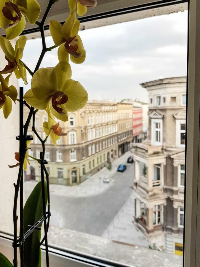 Luksusowe W Centrum Szczecina *